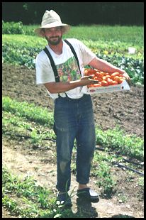 Photo of Brendan Taaffe standing in his farm field with a flat of tomatoes.
